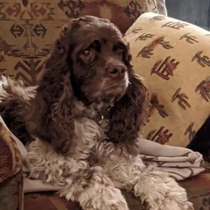 Meet your Posher, Neva